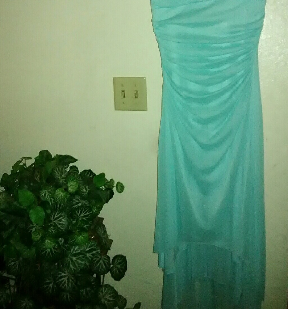 Dress - Picture 3 of 4